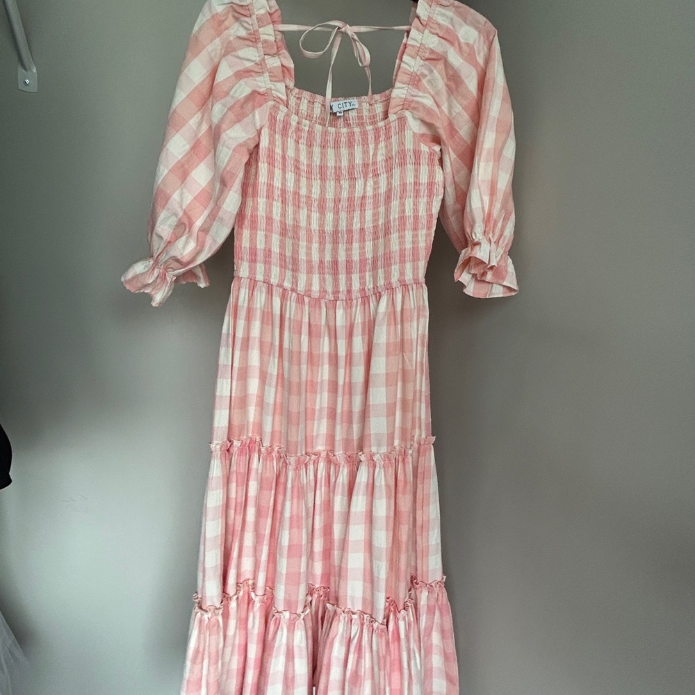 Ivy City Pink Gingham Dress